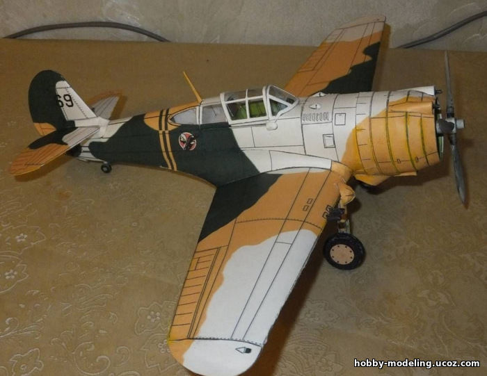 Curtiss Hawk модель, Mata